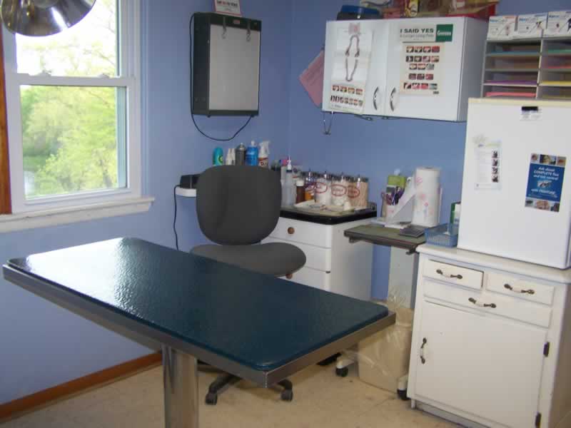Image Gallery - Clearview Animal Hospital